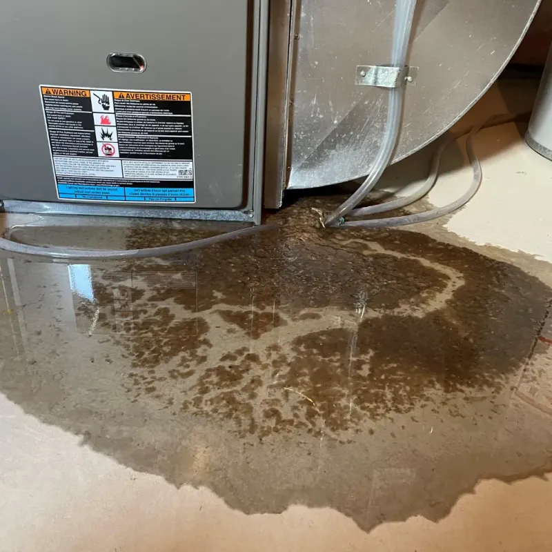 Appliance Leak Cleanup in Auburn, KS