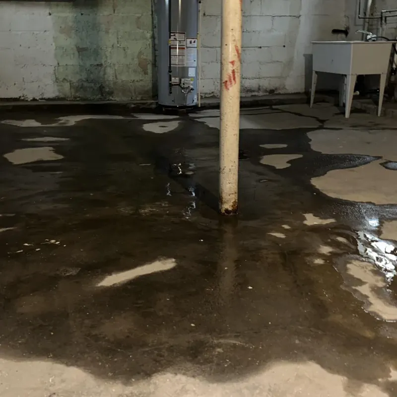 Emergency Water Extraction And Removal in Auburn, KS